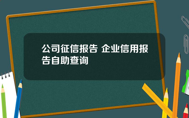 公司征信报告 企业信用报告自助查询